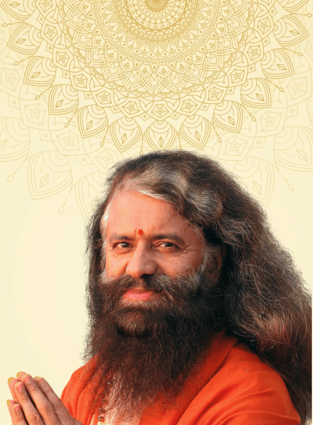 Param Pujya Swami Chidanand Saraswati ji Maharaj